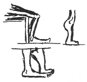 Heel Raises - by Bonnie Prudden